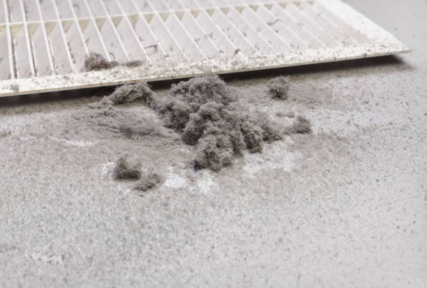 Best Local Air Duct Cleaning Services  in Southport, IN