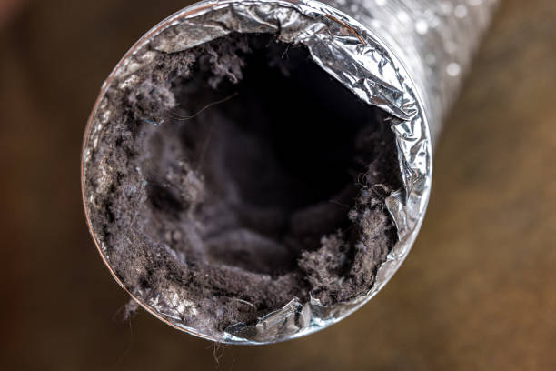 Best Ductwork Cleaning Services  in Southport, IN