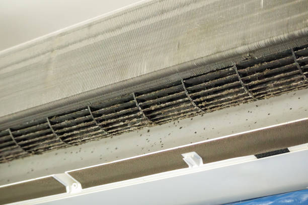 Best HVAC Duct Inspection Services  in Southport, IN